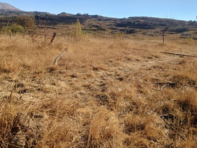 Land with a mountain view for sale in Tarchich, Baabda