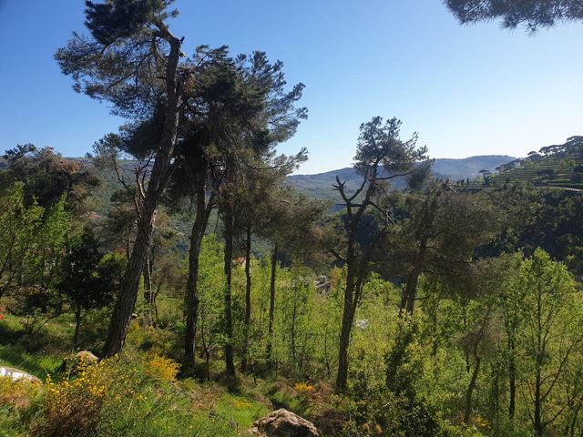 Land with a mountain view for sale in Baskinta, Metn