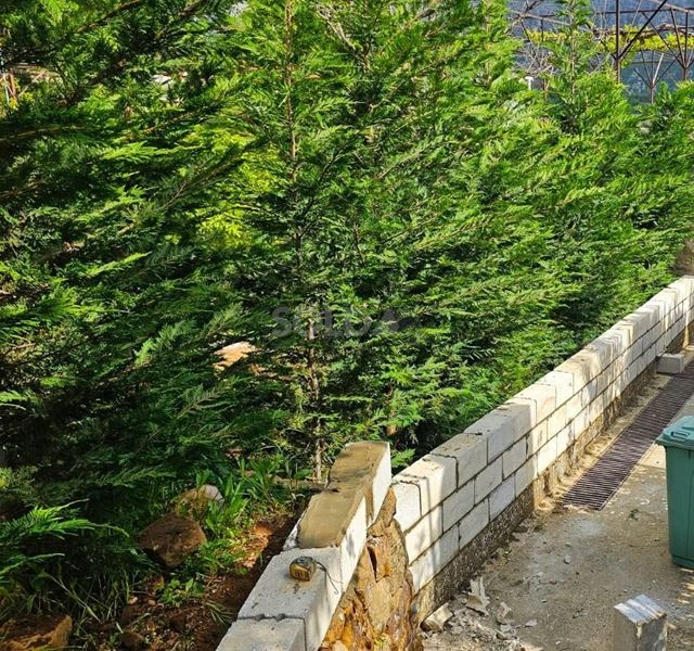 House with a garden for sale in Baskinta, Metn - photo 3