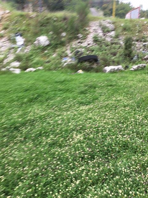 Land for sale in Ashkout, Keserwan