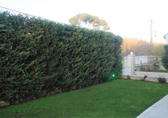 Villa with a terrace for sale in Kfarzebian, Keserwan - photo 3
