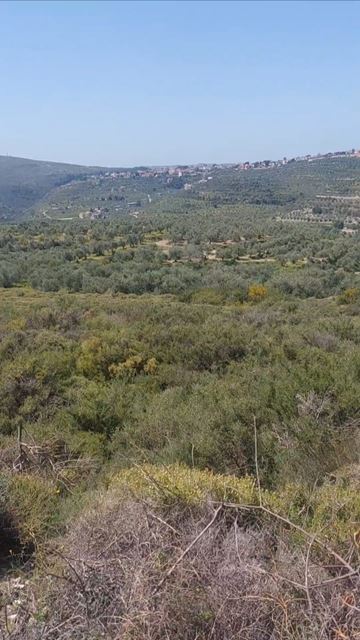 Land with a mountain view for sale in Koura - photo 2