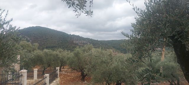 Land with a mountain view for sale in Koura