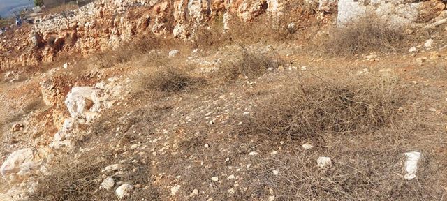Land with a mountain view for sale in Koura - photo 2