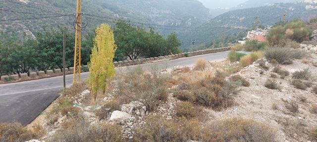 Land with a mountain view for sale in Koura - photo 2