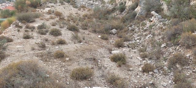 Land with a mountain view for sale in Koura - photo 3