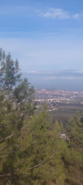 Land with a mountain view for sale in Koura - photo 2