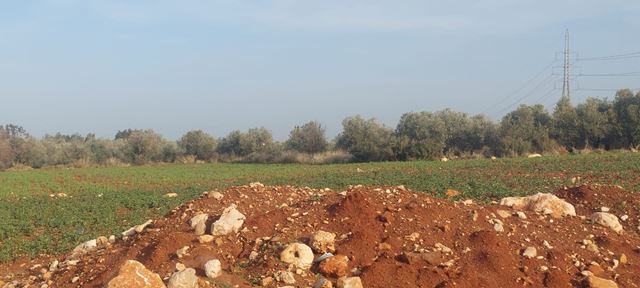 Land with a mountain view for sale in Bsarma, Koura