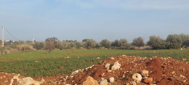 Land with a mountain view for sale in Bsarma, Koura - photo 2