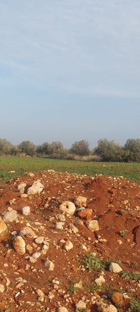Land with a mountain view for sale in Bsarma, Koura - photo 3