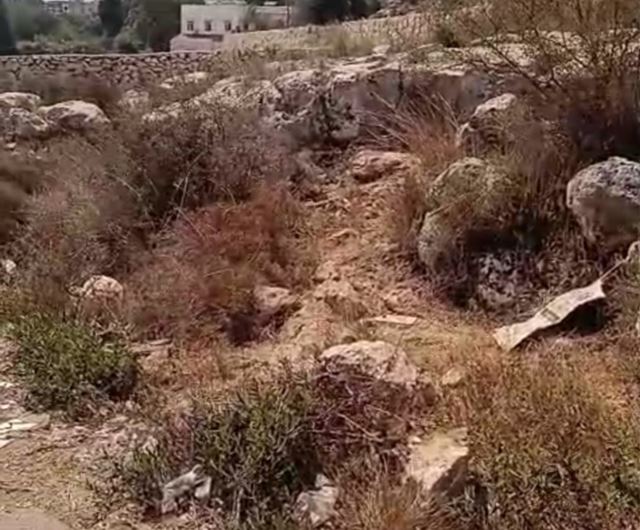 Land for sale in Koura
