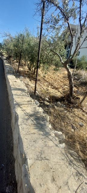 Land for sale in Koura - photo 2