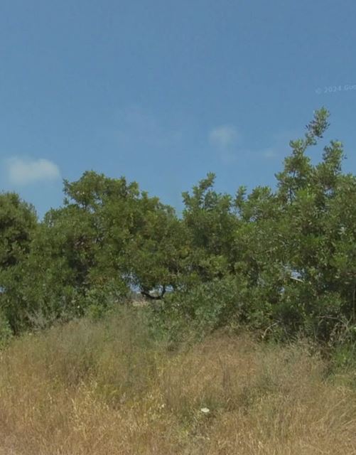 Land with a mountain view for sale in Batroun