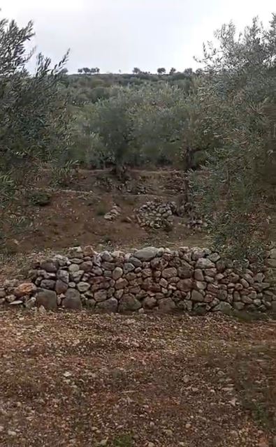 Land with a mountain view for sale in Koura - photo 2