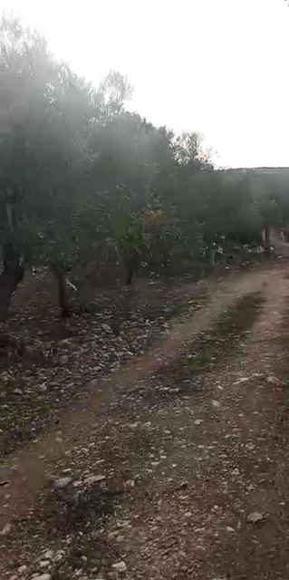 Land with a mountain view for sale in Koura - photo 3