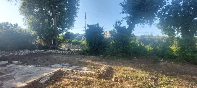 Land for sale in Koura