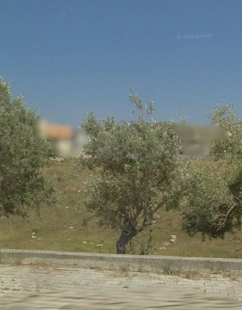 Land for sale in Chekka, Batroun - photo 2