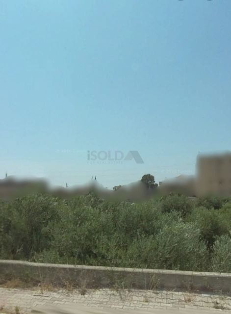 Land for sale in Chekka, Batroun - photo 3