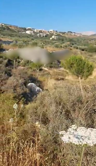 Land for sale in Koura