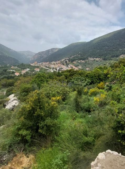 Land with a mountain view for sale in Other, Zgharta - photo 2