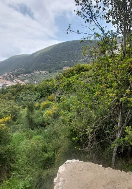 Land with a mountain view for sale in Other, Zgharta - photo 3
