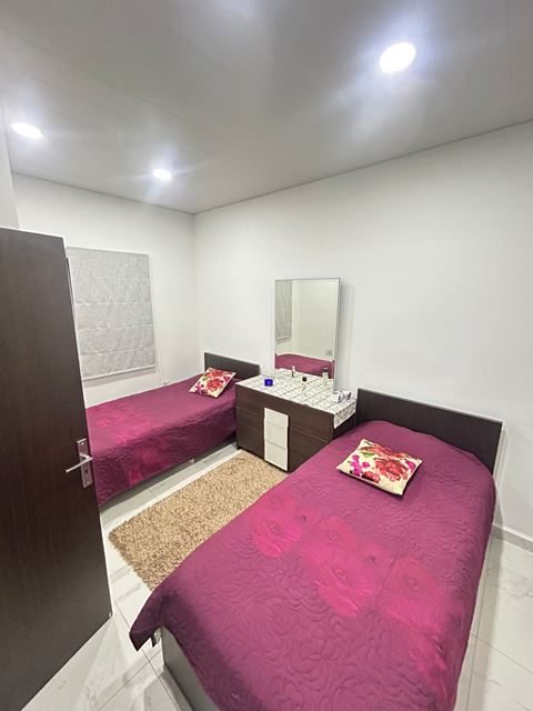 Furnished apartment for rent in Gemayzeh, Beirut - photo 3