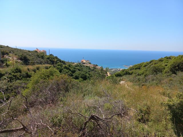 Land for sale in Batroun