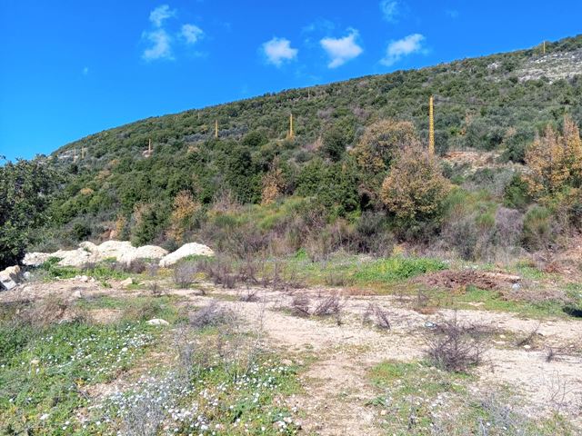 Land for sale in Chebtine, Batroun - photo 2