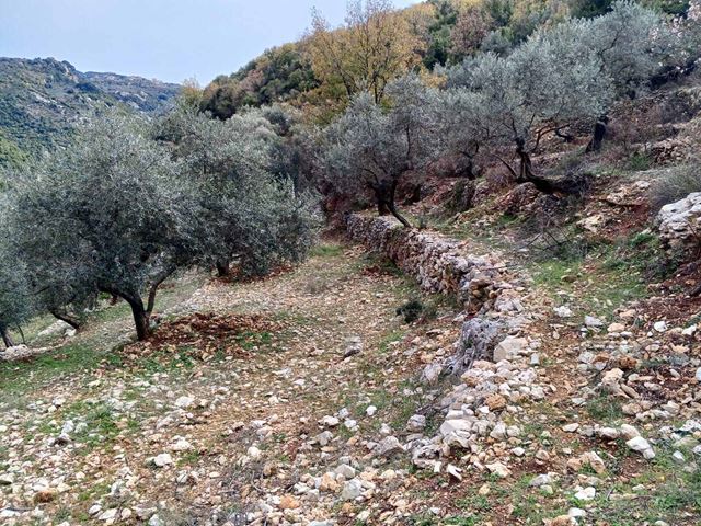 Land with a mountain view for sale in Assia, Batroun
