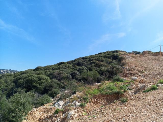 Land for sale in Batroun - photo 2