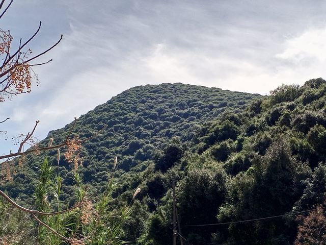 Land for sale in Batroun - photo 3