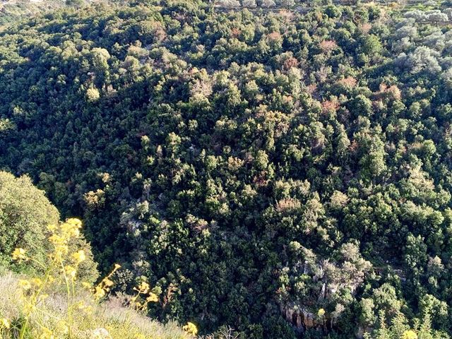 Land for sale in Batroun
