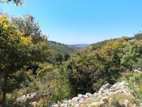 Land for sale in Kfarchleiman, Batroun