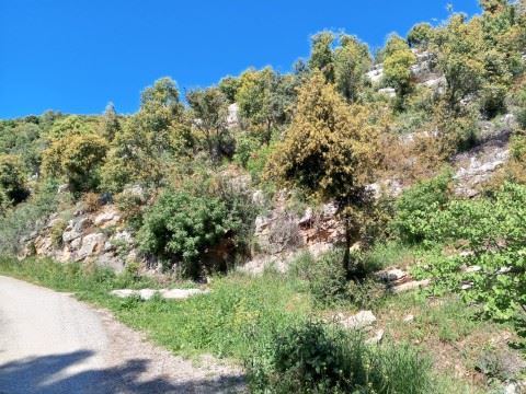 Land for sale in Kfarchleiman, Batroun - photo 2