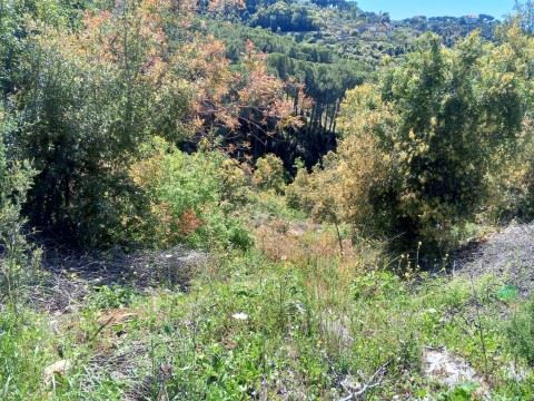 Land for sale in Kfarchleiman, Batroun - photo 3