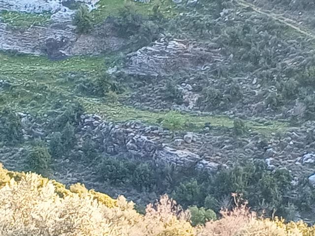 Land with a mountain view for sale in Assia, Batroun - photo 2