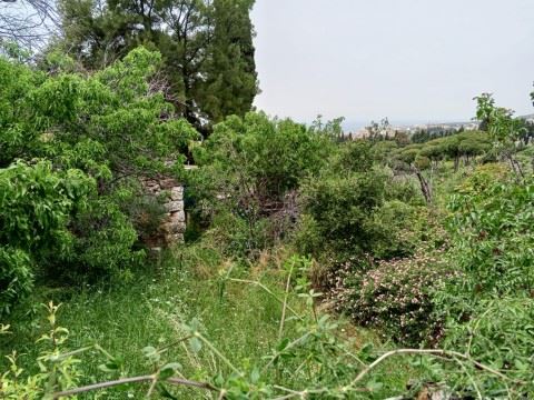 أرض للبيع في بترون - صورة 2
