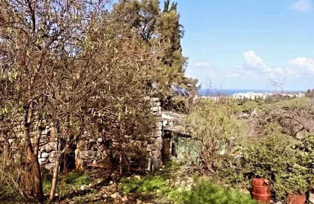 Land for sale in Batroun