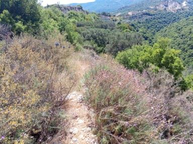 Sea-view land for sale in Batroun - photo 2