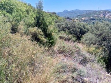 Sea-view land for sale in Batroun - photo 3