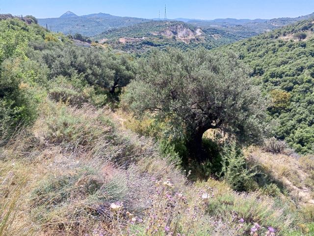 Sea-view land for sale in Batroun