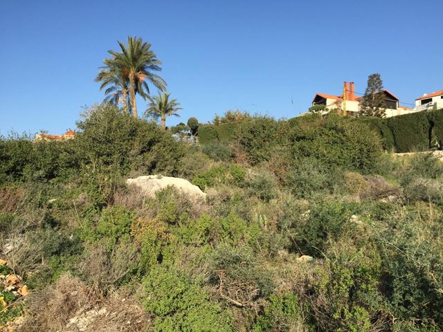 Sea-view land for sale in Batroun - photo 3