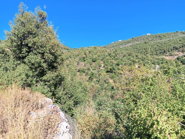 Sea-view land for sale in Kfarchleiman, Batroun - photo 2