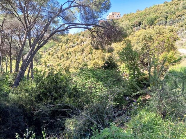 Sea-view land for sale in Kfarchleiman, Batroun - photo 2