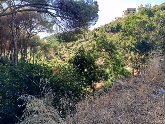 Sea-view land for sale in Kfarchleiman, Batroun - photo 3
