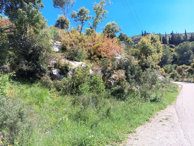 Sea-view land for sale in Kfarchleiman, Batroun - photo 3