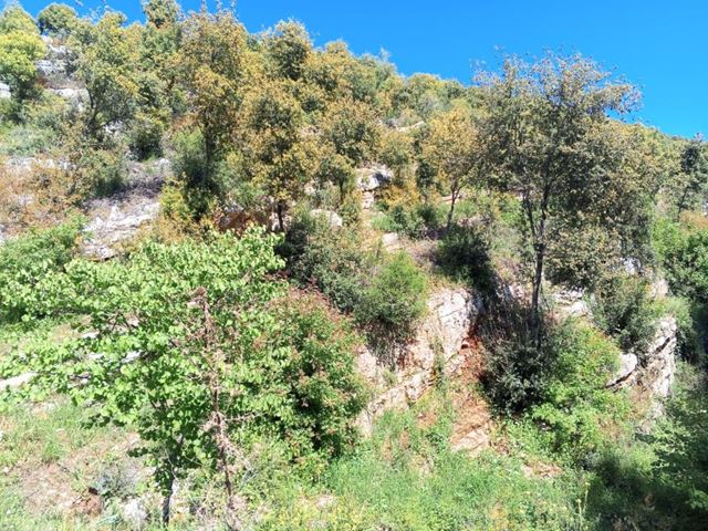 Sea-view land for sale in Kfarchleiman, Batroun - photo 2