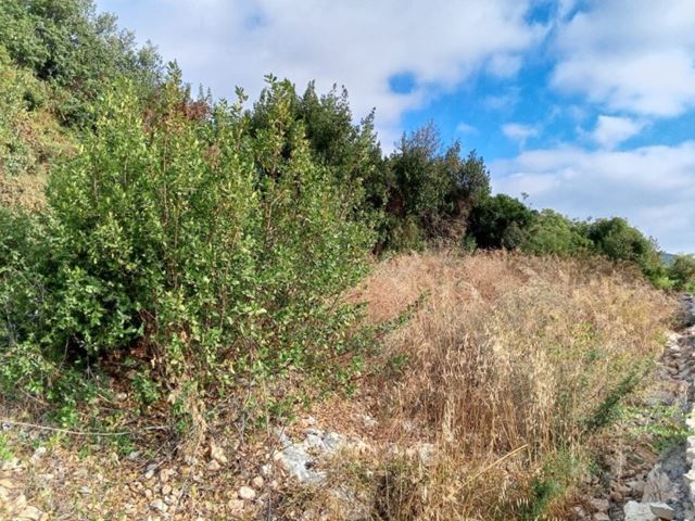 Sea-view land for sale in Kfar Aabida, Batroun