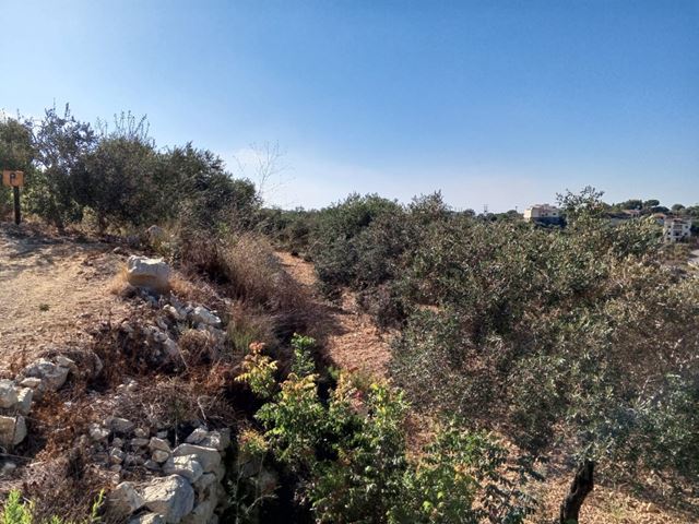 Land for sale in Batroun - photo 3