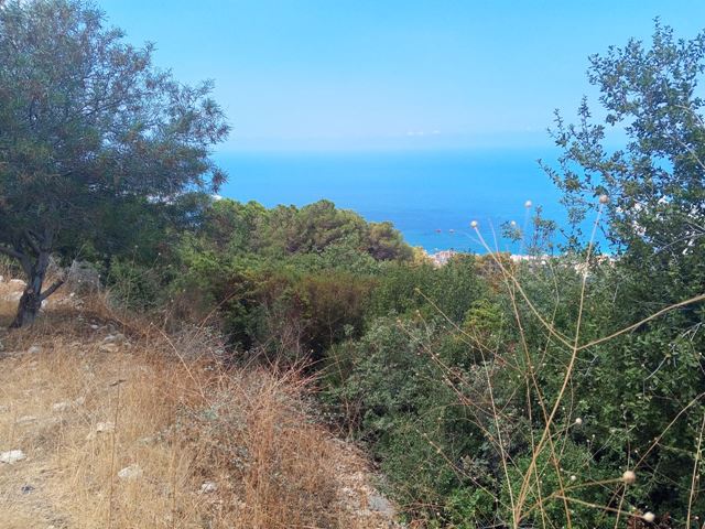 Sea-view land for sale in Chnaniir, Keserwan - photo 2